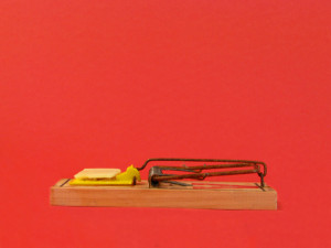 Mousetrap.Food Addiction.flickr.Rennett StoweCC