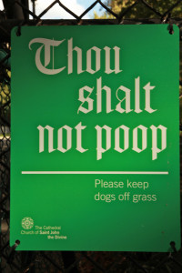 Poop Thou Shalt Not