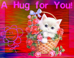 Hug Kitty.flickrCC.joyousjoym