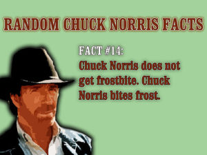 Chuck Norris.flickrCC.StevanSheets