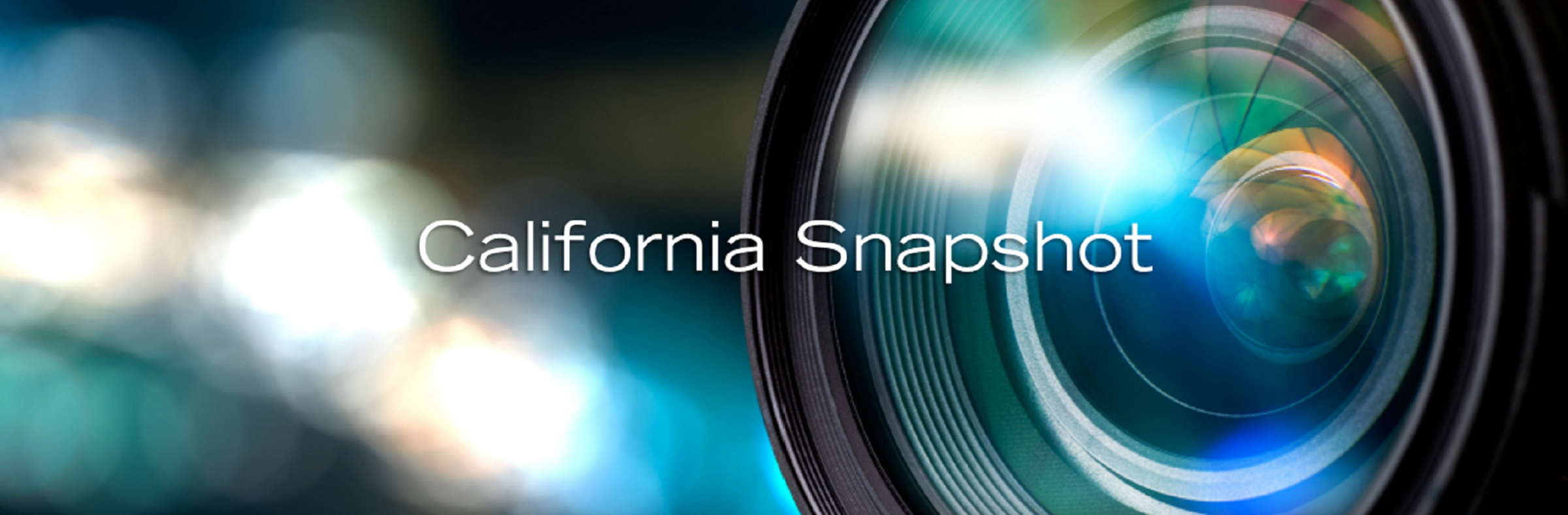 California Snapshot 