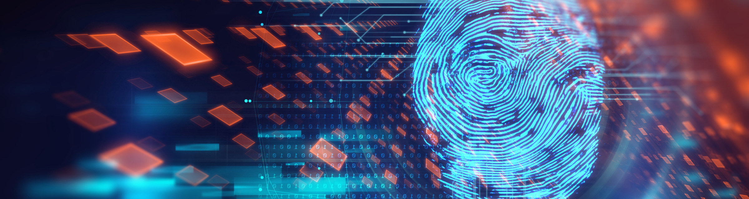 Digital fingerprint outline with colorful squares