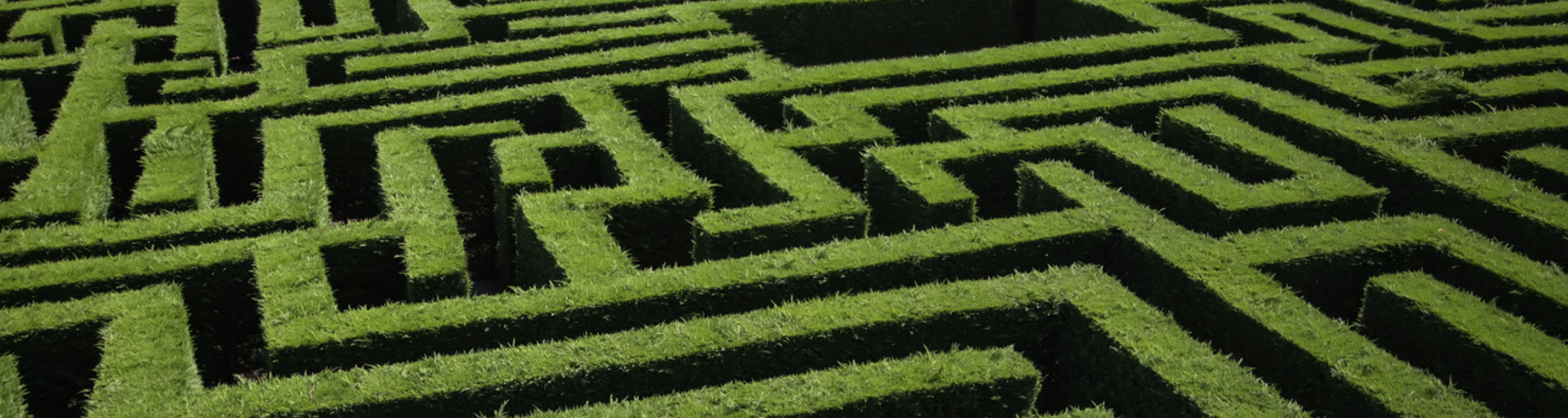 Maze detail in a forest, game and fun
