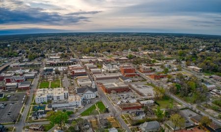 Aerial view of a small town with low-rise brick buildings, tree-lined streets, and scattered residential areas. The horizon stretches into a vast landscape of greenery beneath a partly cloudy sky.