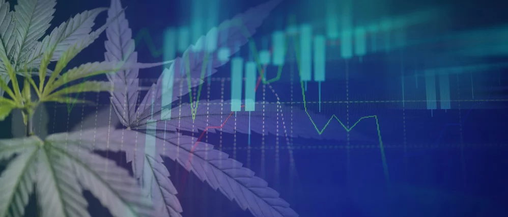 Close up of cannabis leaves overlaid with glowing stock market charts and candlestick graphs on a dark blue background. Green and red trend lines move across the image, blending marijuana imagery with financial data visualization.