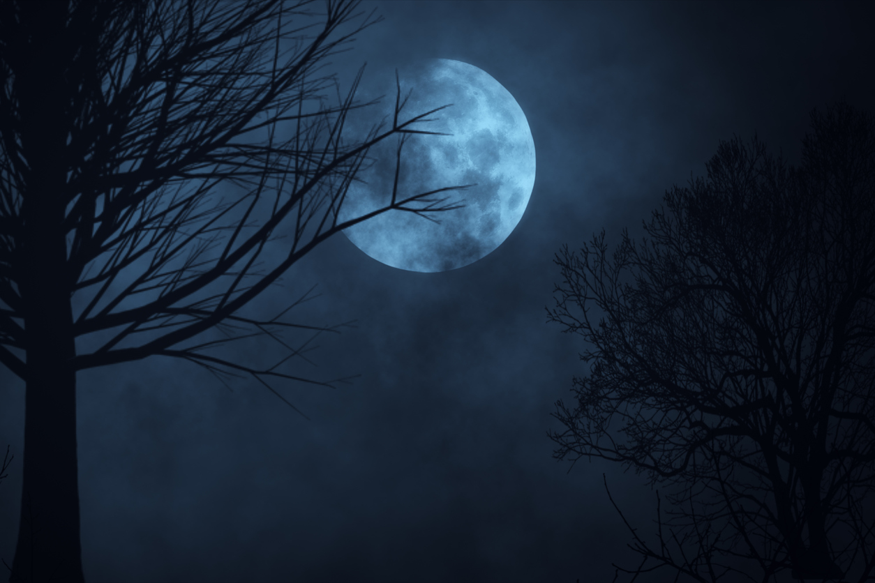 Full Moon at Night A large glowing blue full moon illuminates a dark and cloudy night sky. Silhouettes of bare tree branches frame the moon on both sides, creating an eerie and mysterious atmosphere.